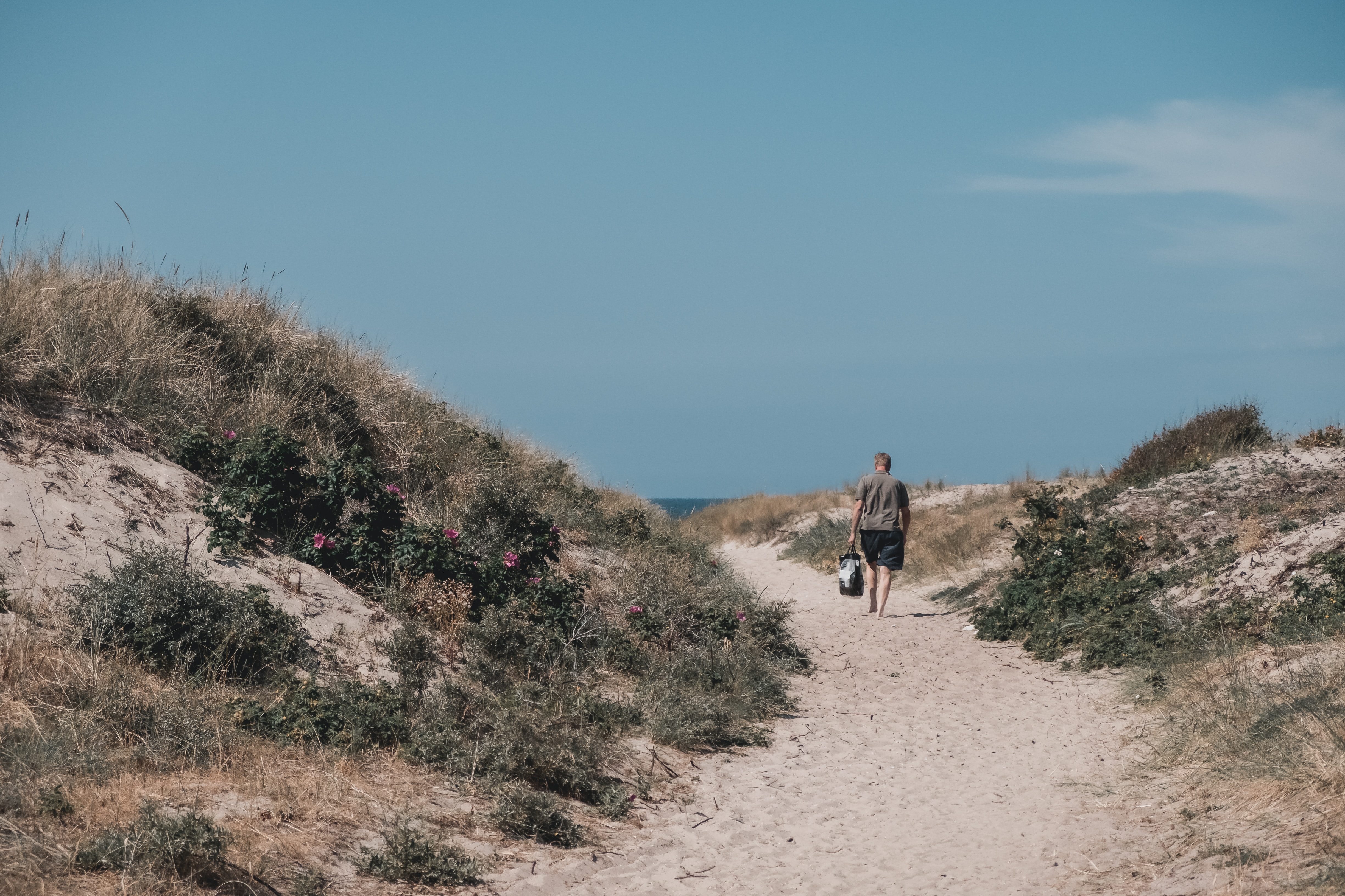 Mann wandert zum Strand durch einen Wanderweg auf Bornholm in Dänemark