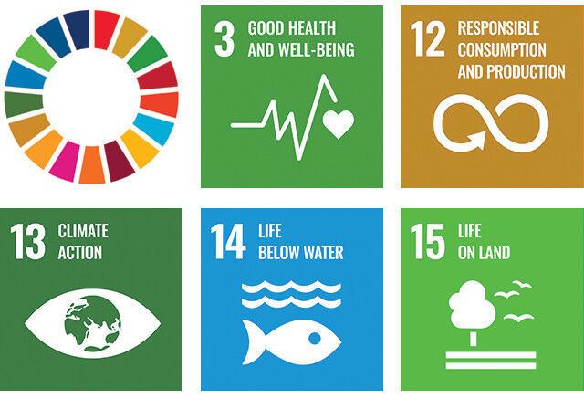 UN SDG Icons Collected EN