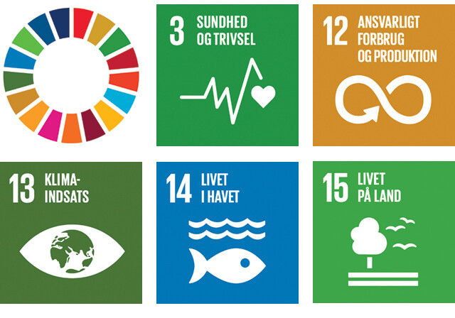 UN SDG Icons Collected DK
