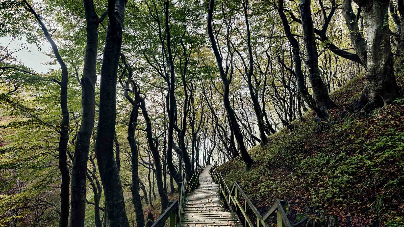Die längste Treppe Dänemarks
