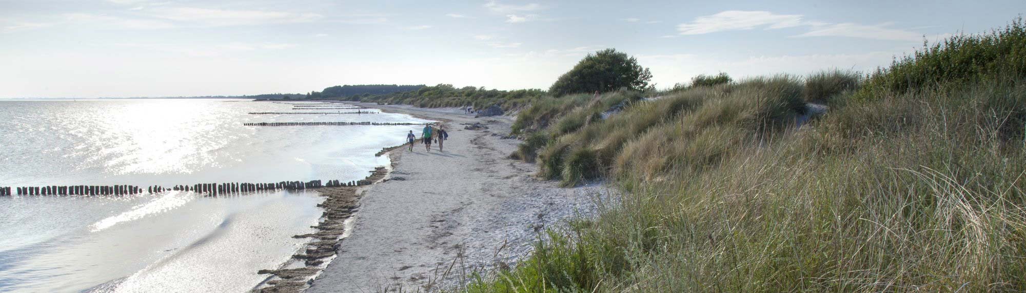 Menschen laufen barfuß durch einen Sandstrand an der Ostsee in Dänemark
