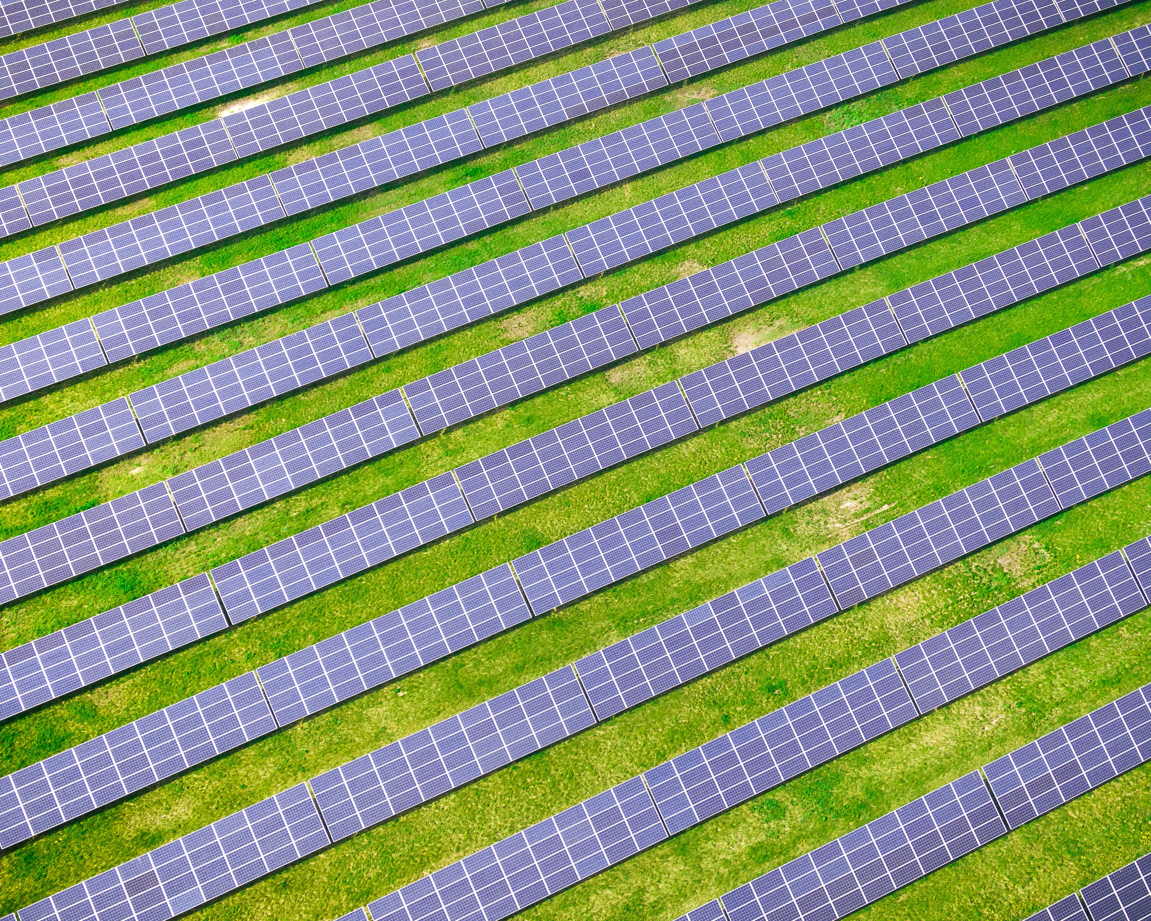 Solarpanels Photovoltaik auf dem Feld
