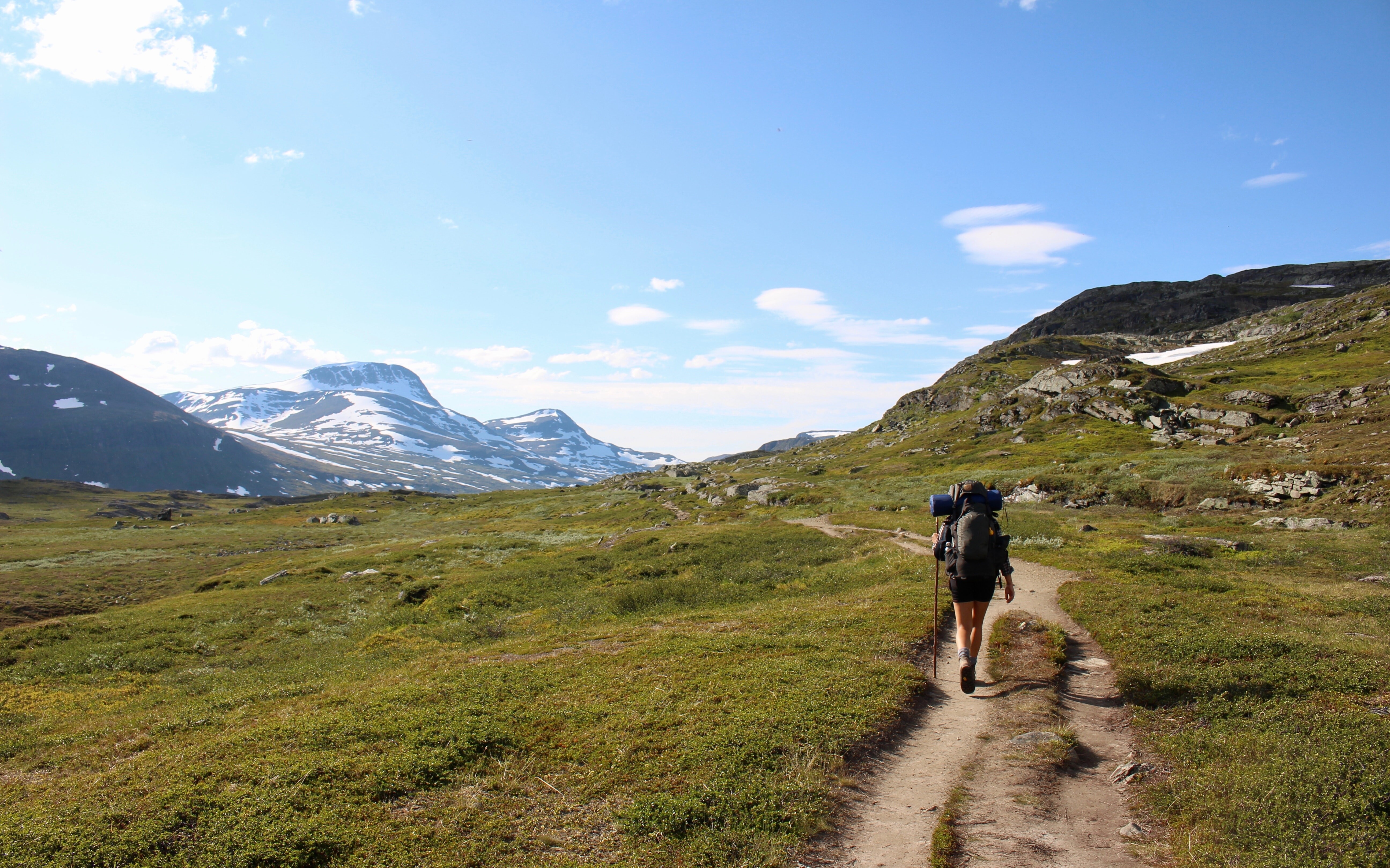 Eine Person wandert mit dem Rucksack durch schwedische Bergen im Sommer