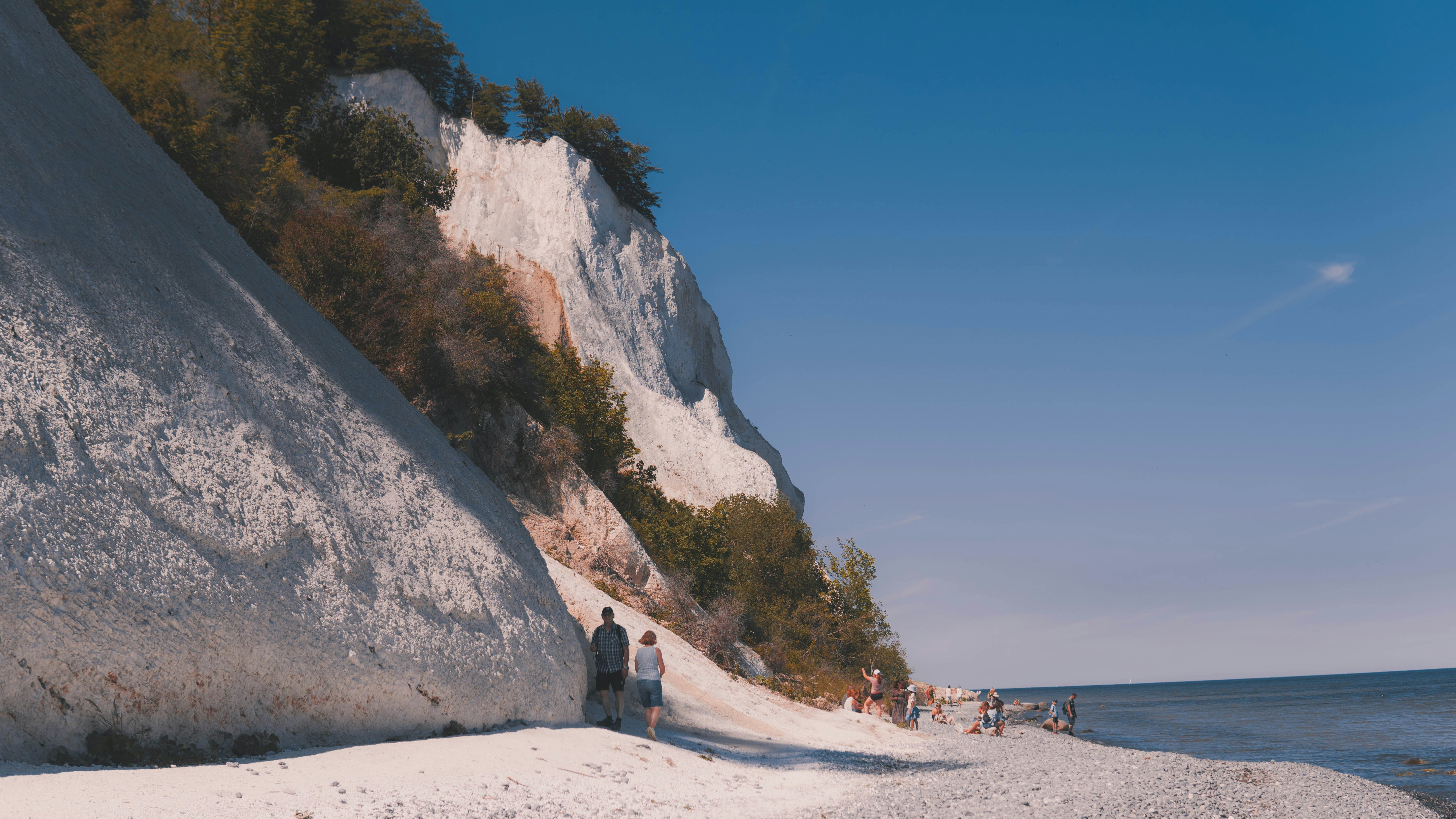 Møns Klint Kreidefelsen Chalk Cliffs