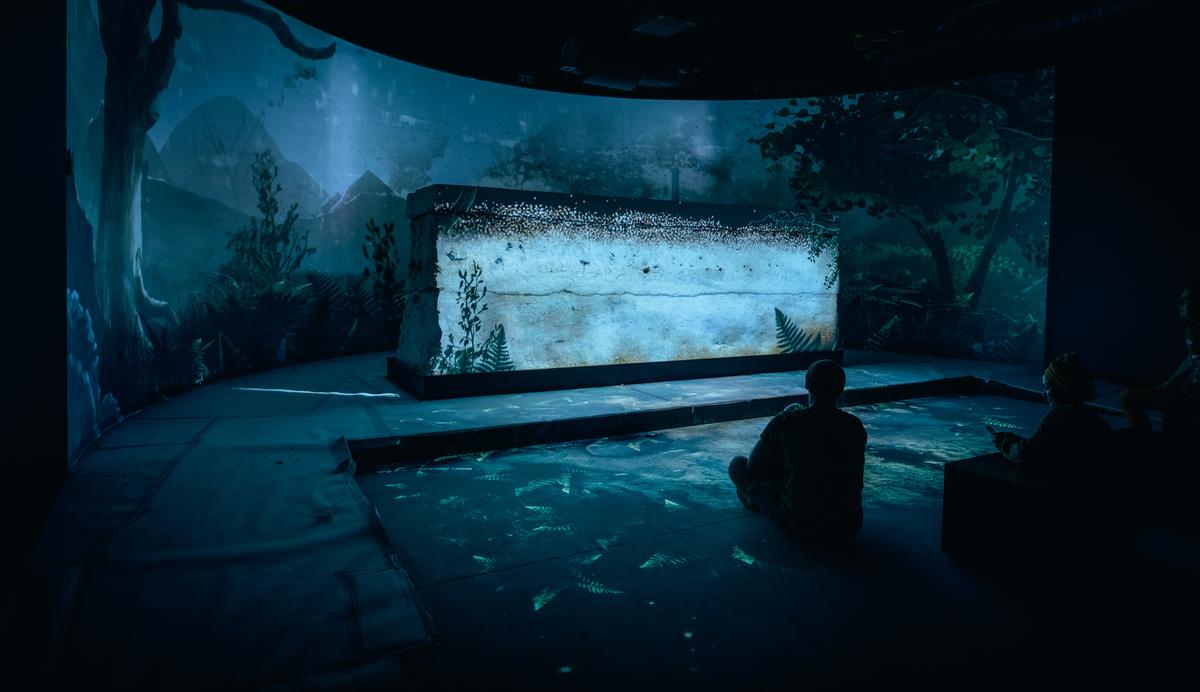 Menschen schauen sich in der Dunkelheit eine interaktive Installation im Stevns Klint Experience