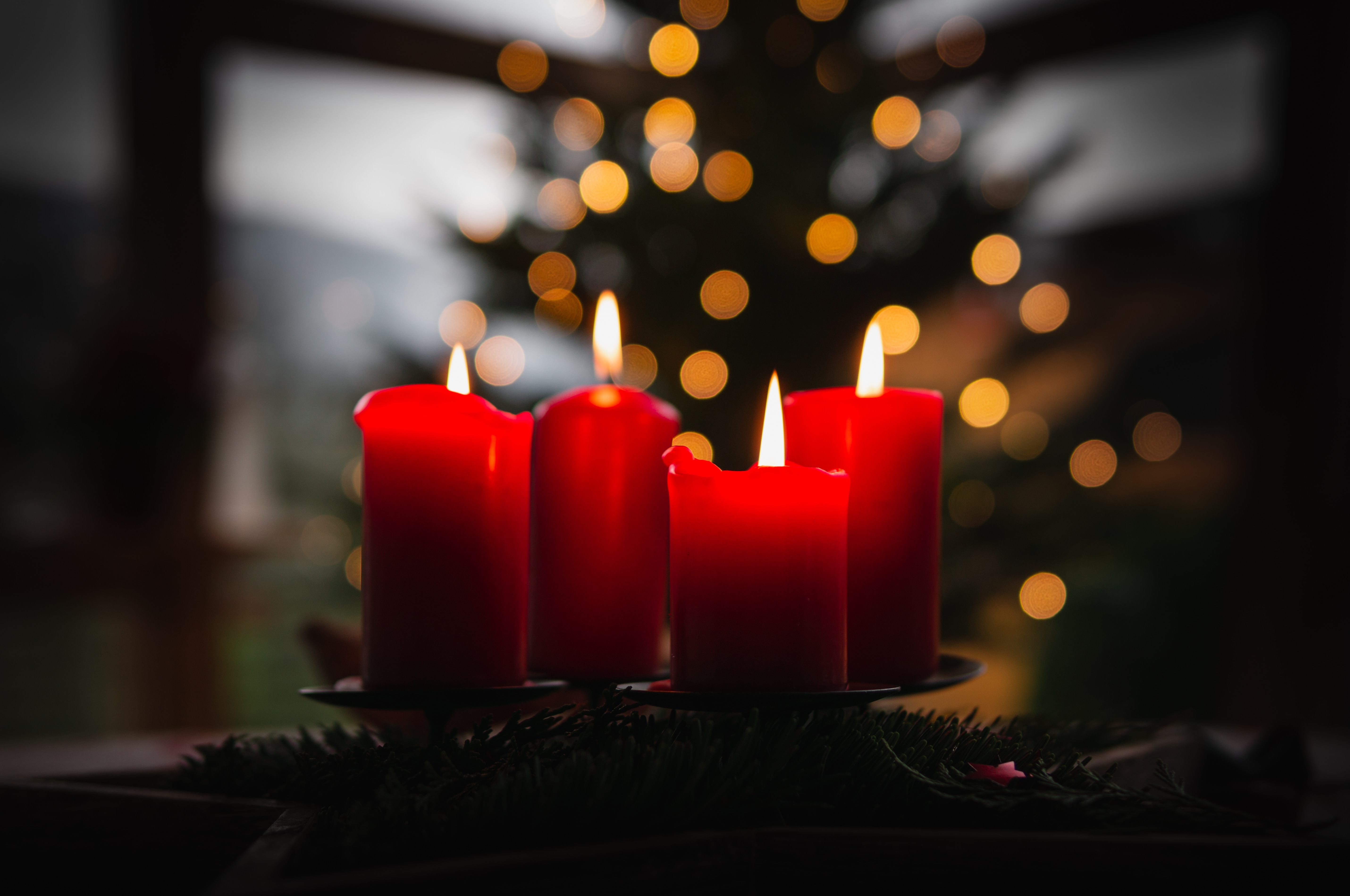 Vier Rote Adventskerzen leuchten in der Dunkelheit, dahinter steht ein Weihnachtsbaum