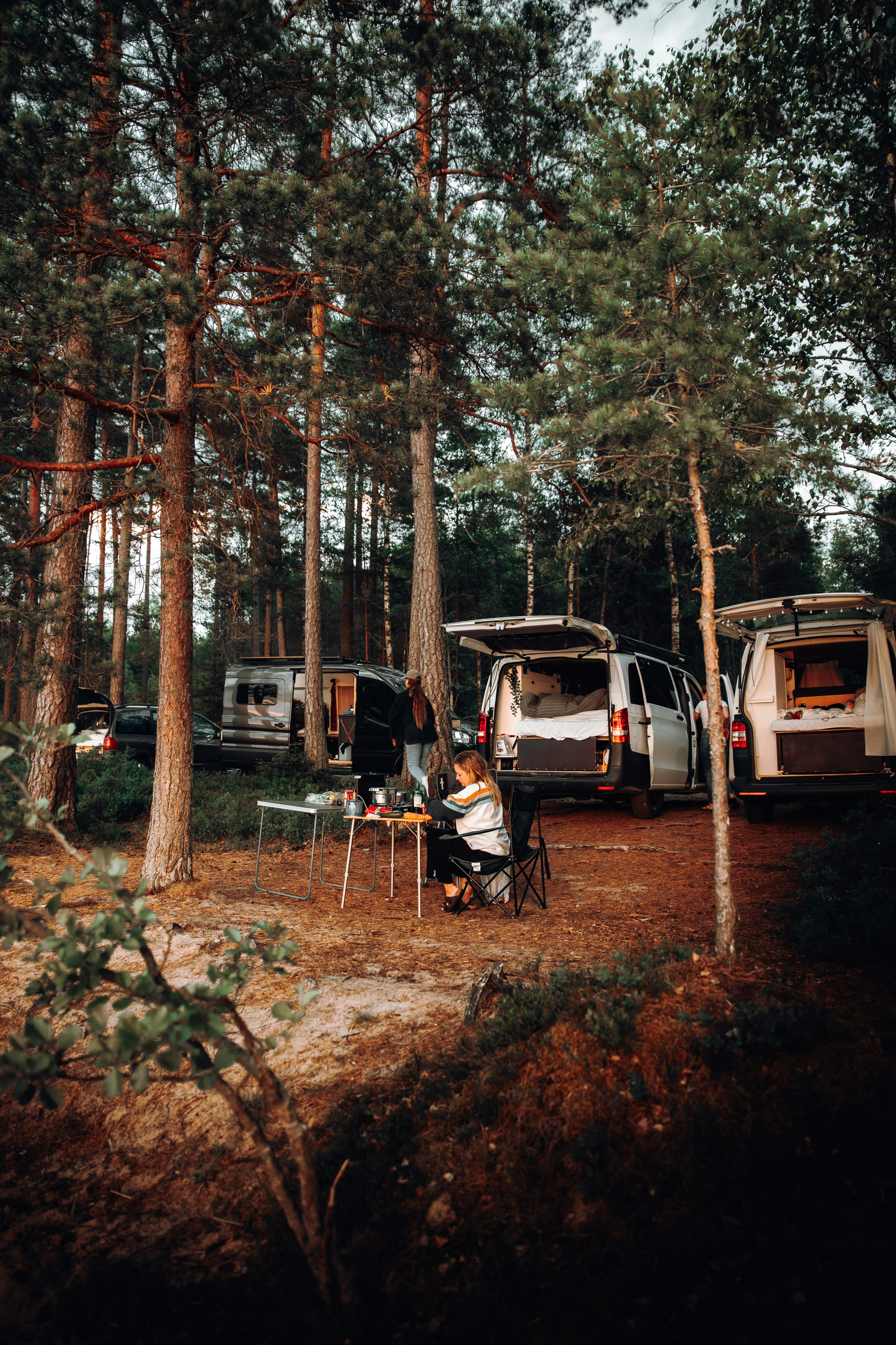 Schweden Van Camping Wald