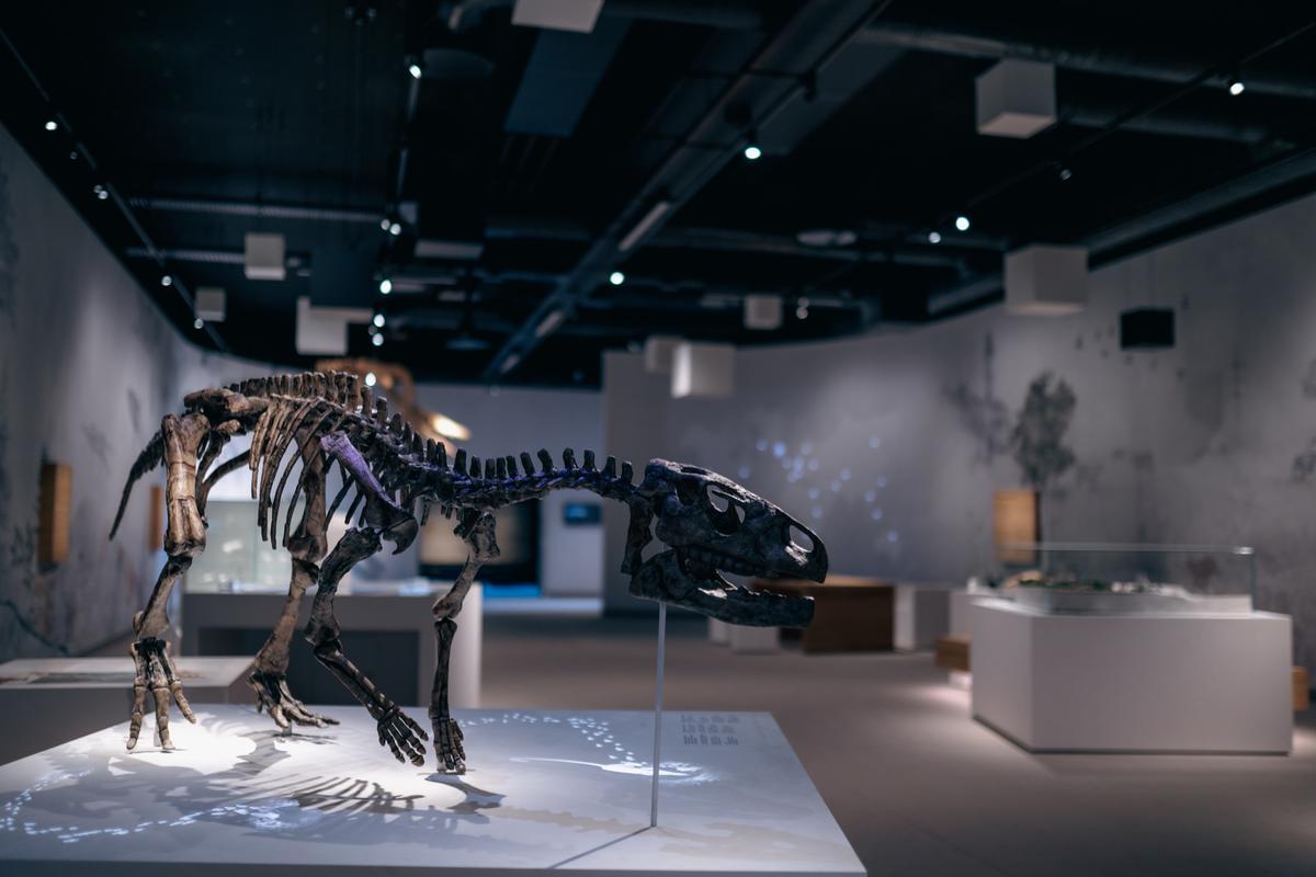Besucherzentrum Stevns Klint Experience mit einem Dinosaurier