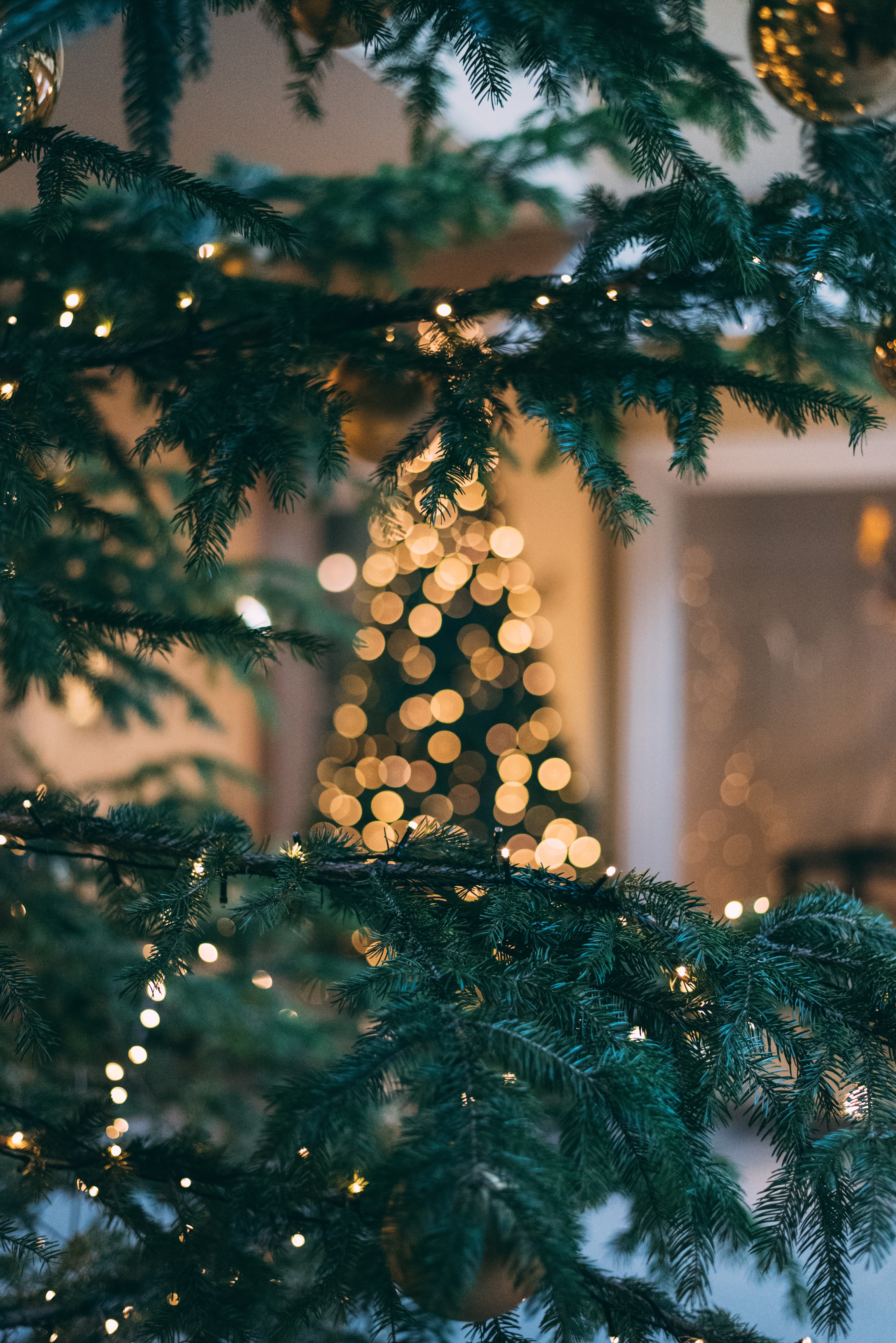 Tannenbaum mit subtiler Lichterkette zum Julfest Weihnachtsfest in Skandinavien