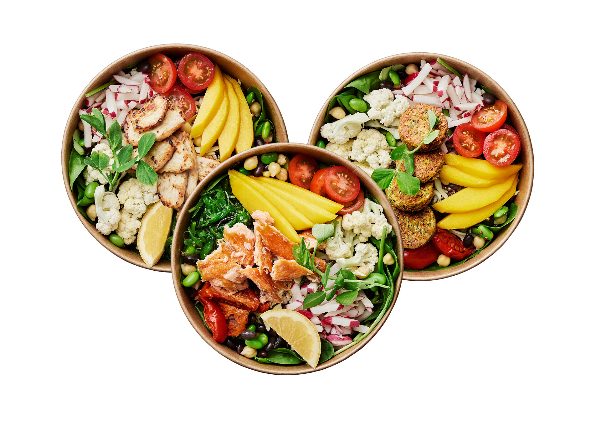 Salad bowls with chicken, falafel or salmon