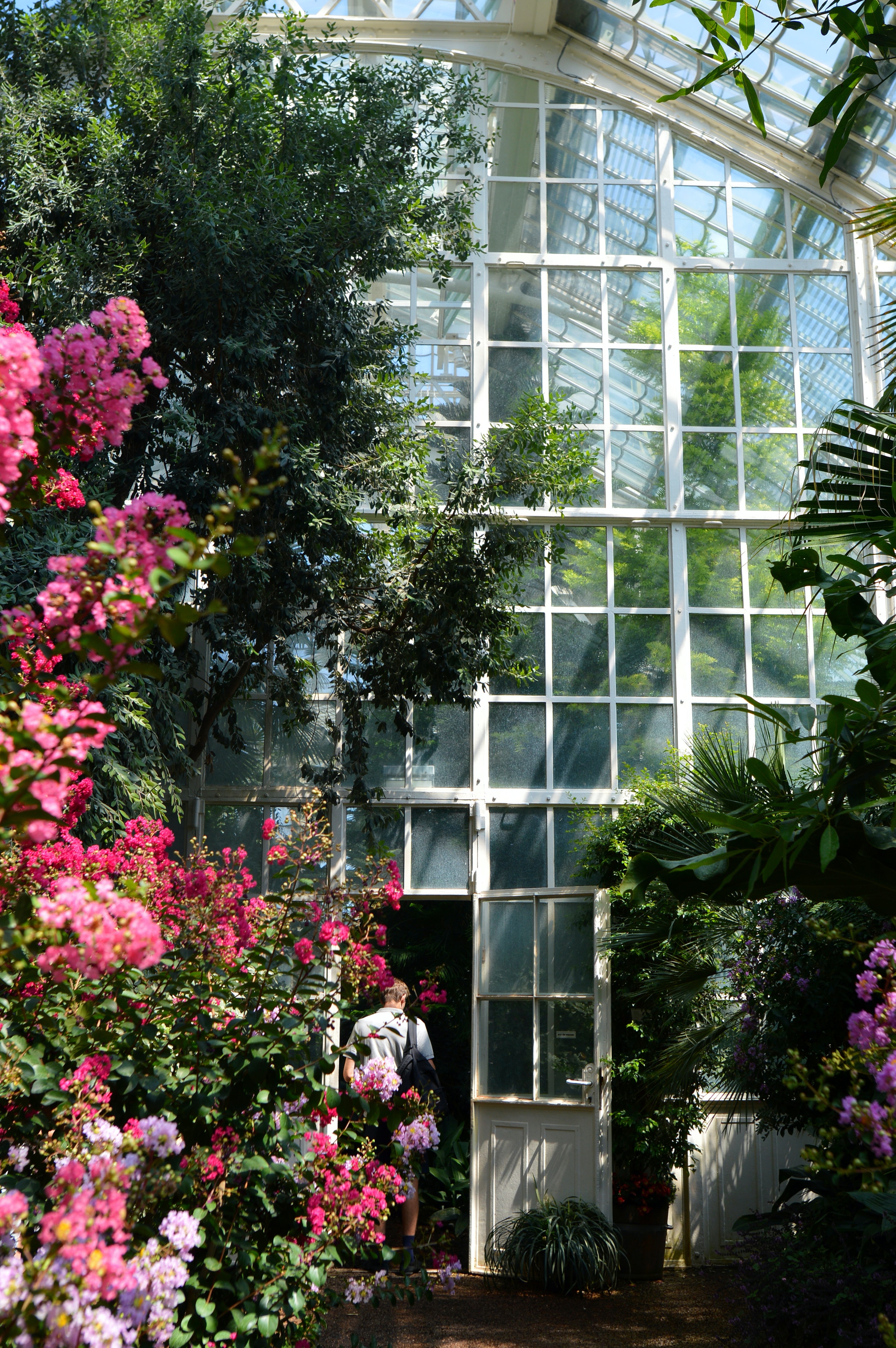 Blumen und Pflanzen vor einem riesigen Gewächshaus in Dänemark