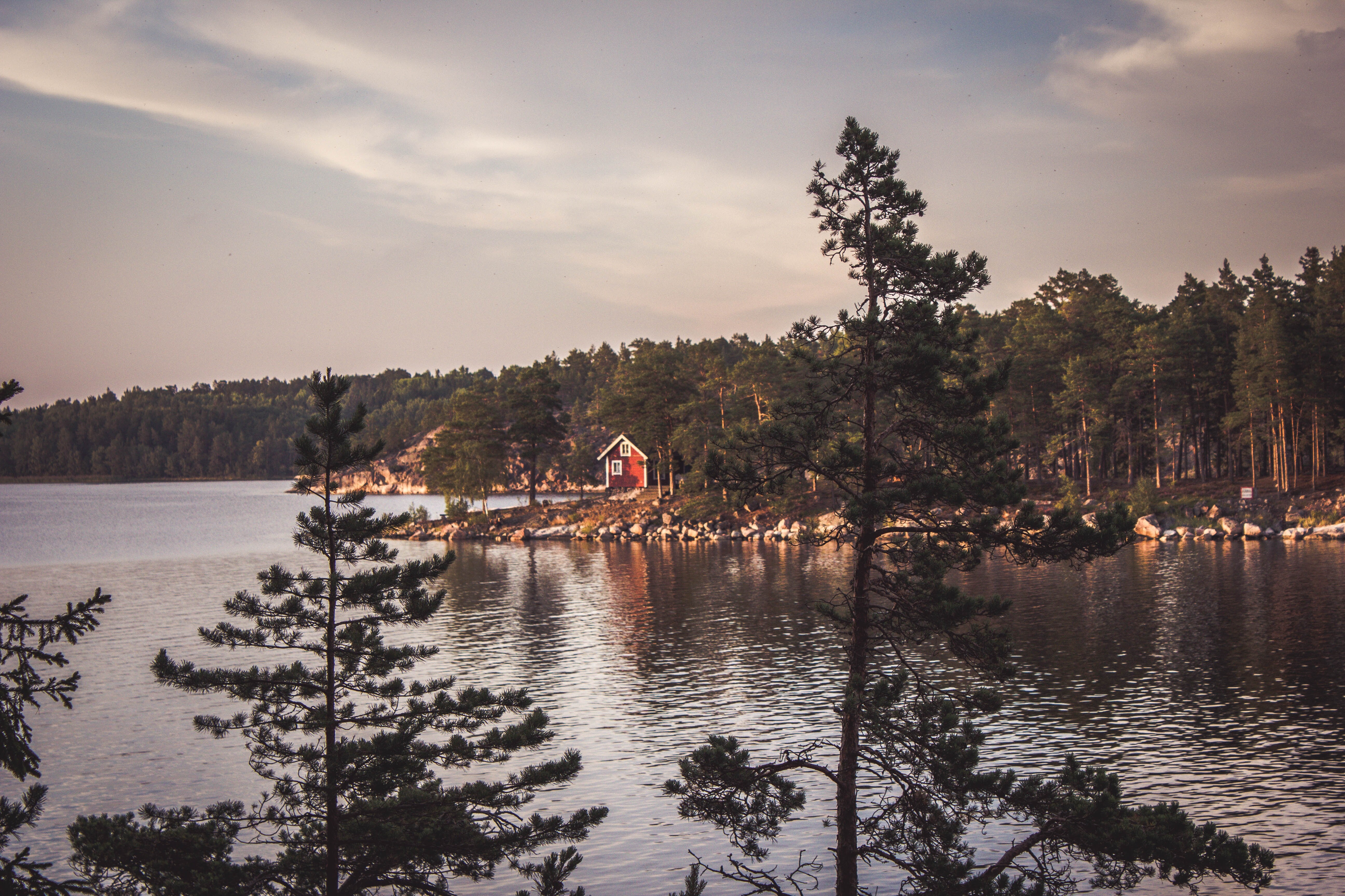 Typisches rotes Holzhaus am See in Schweden, umgeben vom Wald