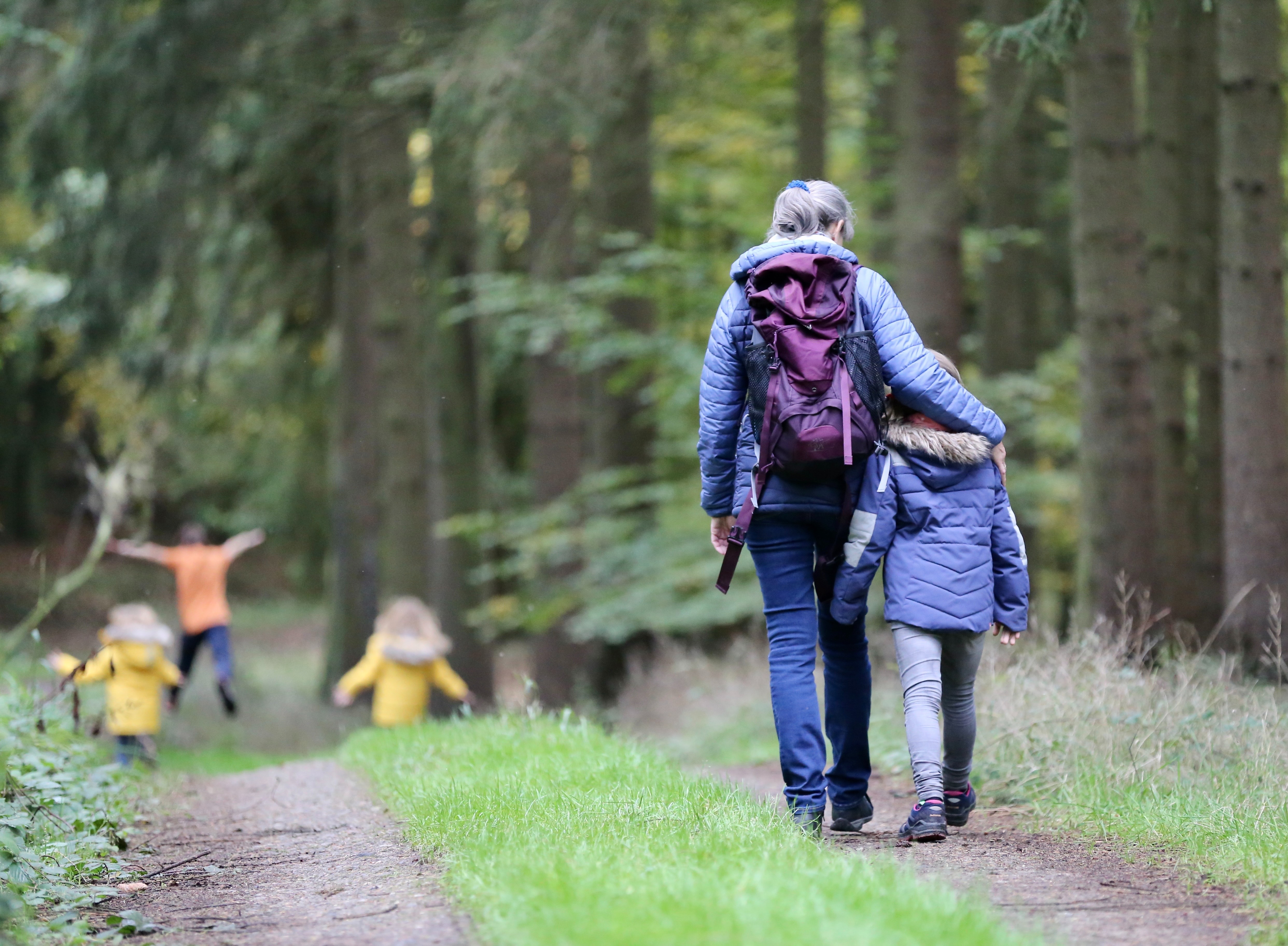 Familie mit Kindern wandert durch den Wald in Dänemark