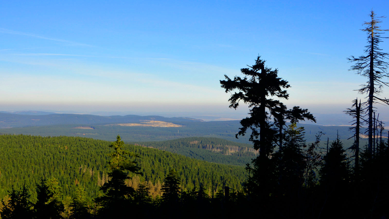 Bjerglandskab og skove i Harzen