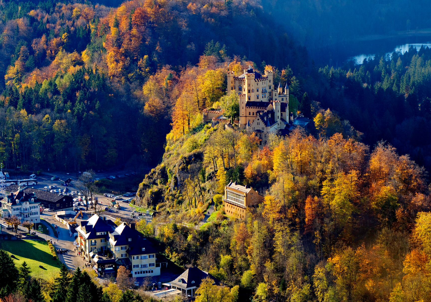 Skov i Tyskland med efterårsfarver 