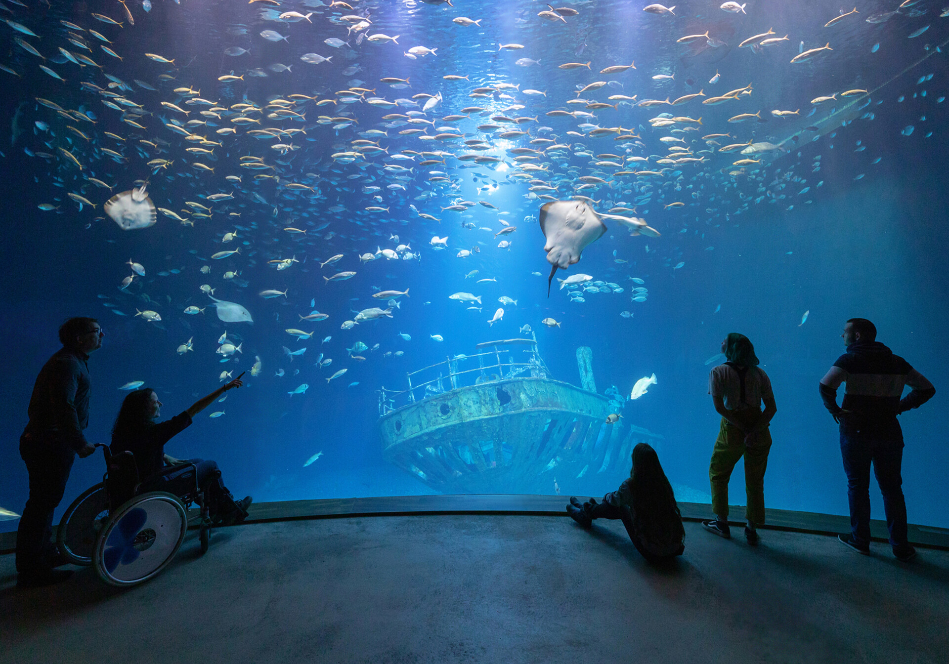 OZEANEUM akvarium "Open Atlantic" tank