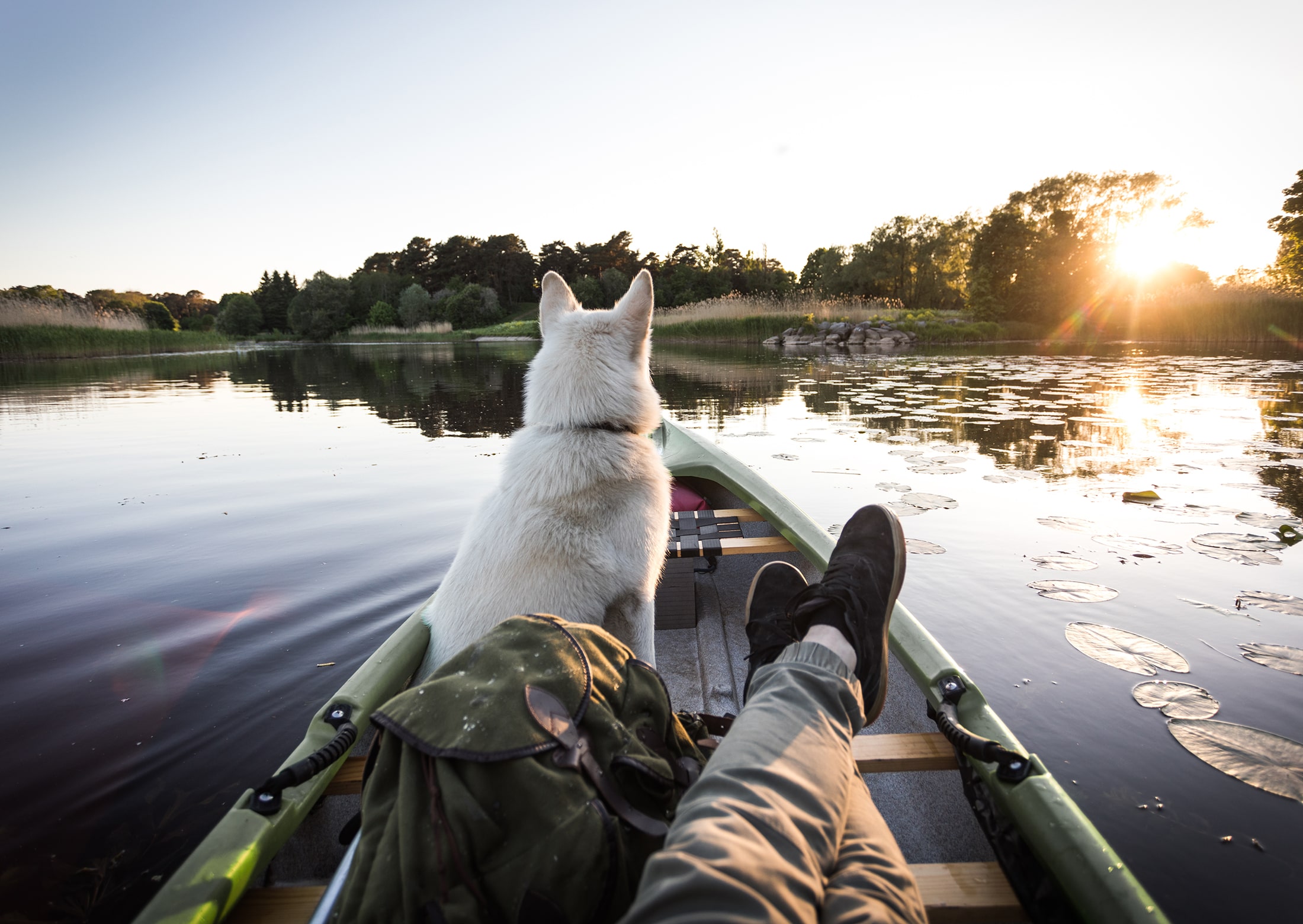 Mand og hund i kano på sø i Niedersachsen